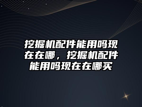 挖掘機配件能用嗎現(xiàn)在在哪，挖掘機配件能用嗎現(xiàn)在在哪買