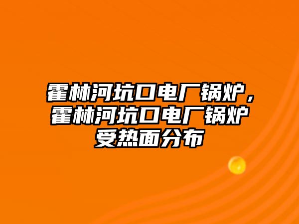 霍林河坑口電廠鍋爐，霍林河坑口電廠鍋爐受熱面分布