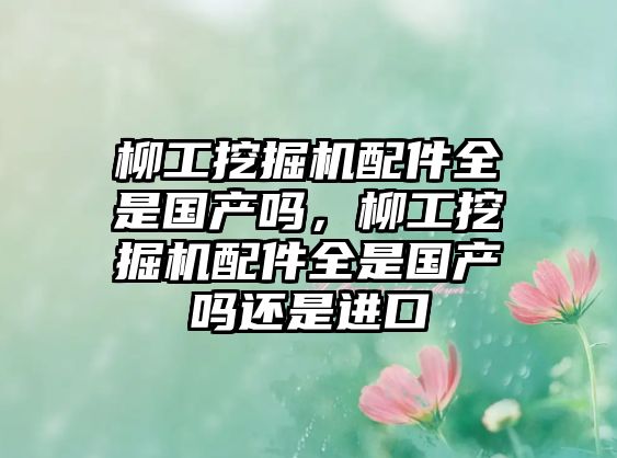 柳工挖掘機配件全是國產(chǎn)嗎，柳工挖掘機配件全是國產(chǎn)嗎還是進口