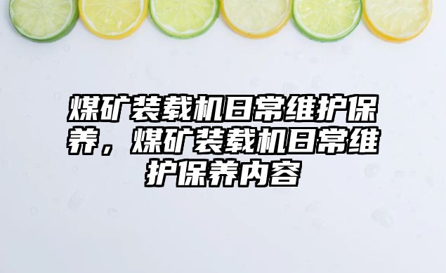 煤礦裝載機日常維護保養(yǎng)，煤礦裝載機日常維護保養(yǎng)內容