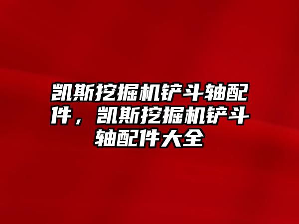 凱斯挖掘機鏟斗軸配件，凱斯挖掘機鏟斗軸配件大全