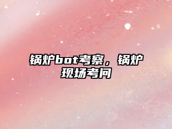 鍋爐bot考察，鍋爐現(xiàn)場考問