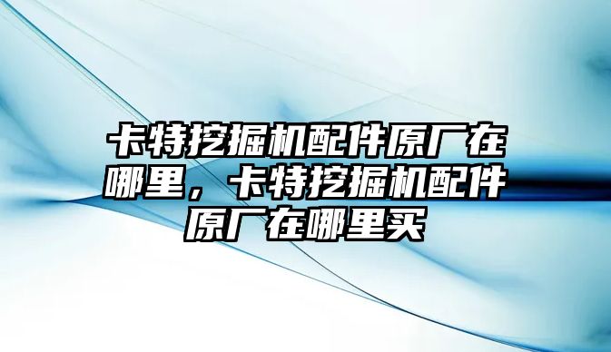 卡特挖掘機(jī)配件原廠在哪里，卡特挖掘機(jī)配件原廠在哪里買(mǎi)