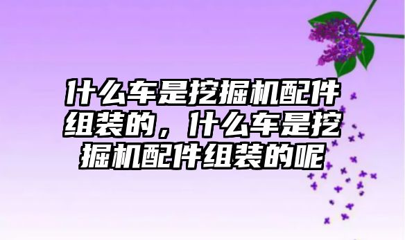 什么車是挖掘機(jī)配件組裝的，什么車是挖掘機(jī)配件組裝的呢