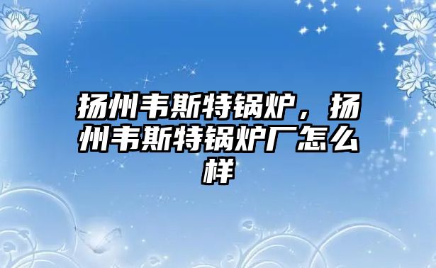 揚(yáng)州韋斯特鍋爐，揚(yáng)州韋斯特鍋爐廠怎么樣