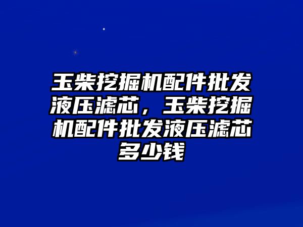 玉柴挖掘機配件批發(fā)液壓濾芯，玉柴挖掘機配件批發(fā)液壓濾芯多少錢