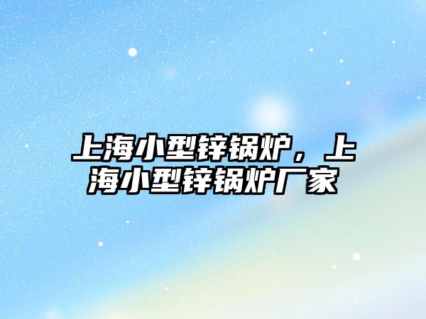 上海小型鋅鍋爐，上海小型鋅鍋爐廠家