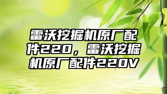 雷沃挖掘機(jī)原廠配件220，雷沃挖掘機(jī)原廠配件220V