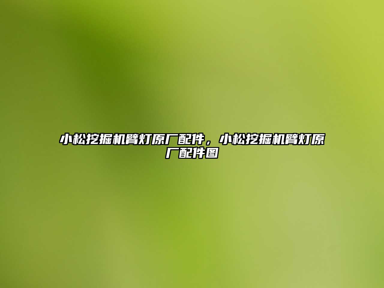 小松挖掘機臂燈原廠配件，小松挖掘機臂燈原廠配件圖