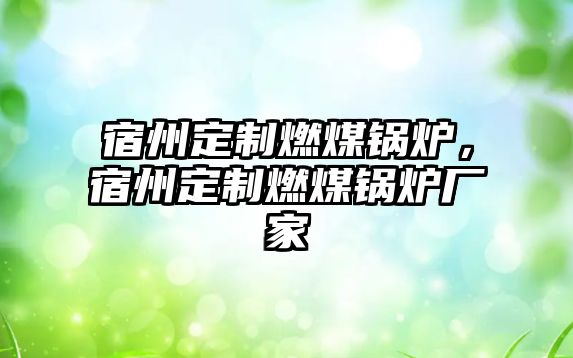 宿州定制燃煤鍋爐，宿州定制燃煤鍋爐廠家