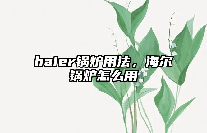 haier鍋爐用法，海爾鍋爐怎么用