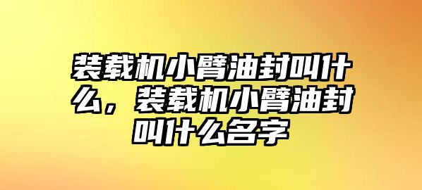 裝載機小臂油封叫什么，裝載機小臂油封叫什么名字