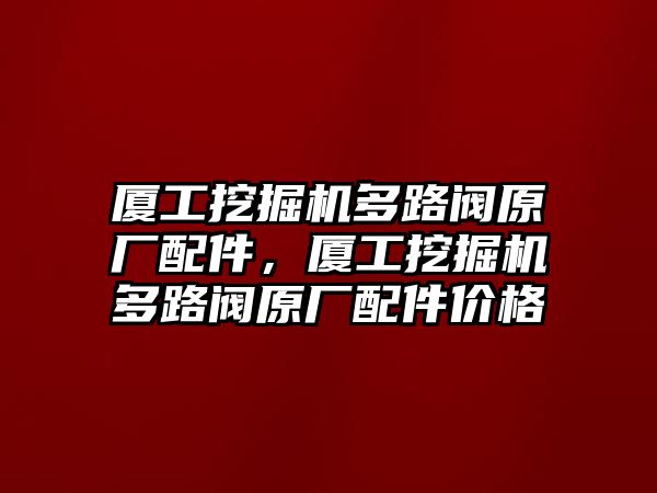 廈工挖掘機(jī)多路閥原廠配件，廈工挖掘機(jī)多路閥原廠配件價格