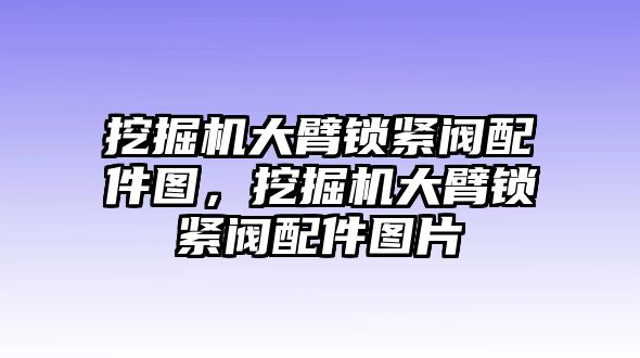 挖掘機大臂鎖緊閥配件圖，挖掘機大臂鎖緊閥配件圖片