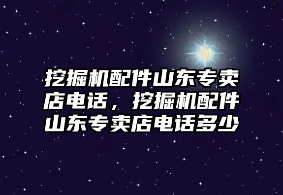 挖掘機(jī)配件山東專賣店電話，挖掘機(jī)配件山東專賣店電話多少