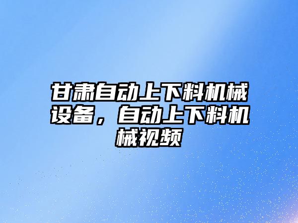 甘肅自動上下料機械設(shè)備，自動上下料機械視頻