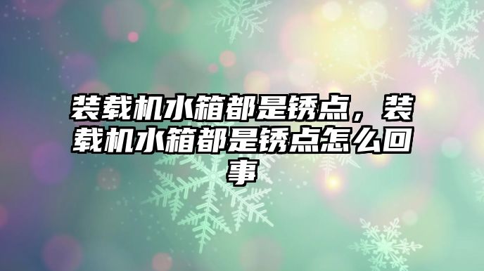 裝載機水箱都是銹點，裝載機水箱都是銹點怎么回事