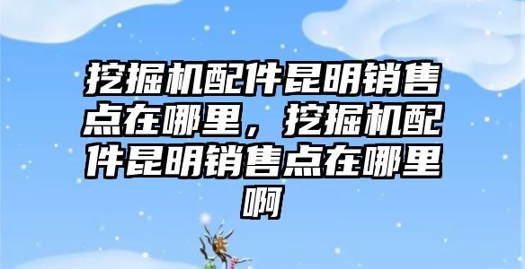 挖掘機配件昆明銷售點在哪里，挖掘機配件昆明銷售點在哪里啊