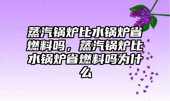 蒸汽鍋爐比水鍋爐省燃料嗎，蒸汽鍋爐比水鍋爐省燃料嗎為什么