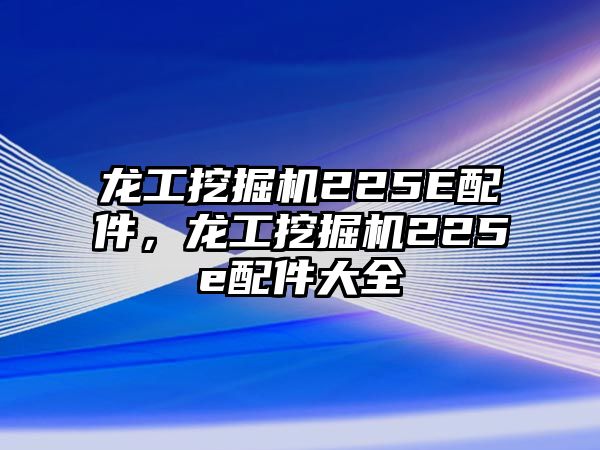 龍工挖掘機(jī)225E配件，龍工挖掘機(jī)225e配件大全