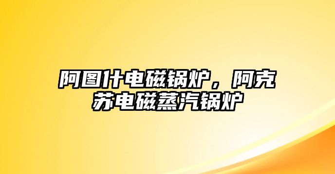 阿圖什電磁鍋爐，阿克蘇電磁蒸汽鍋爐