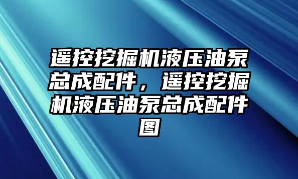 遙控挖掘機液壓油泵總成配件，遙控挖掘機液壓油泵總成配件圖