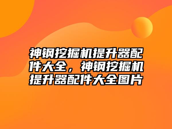 神鋼挖掘機提升器配件大全，神鋼挖掘機提升器配件大全圖片