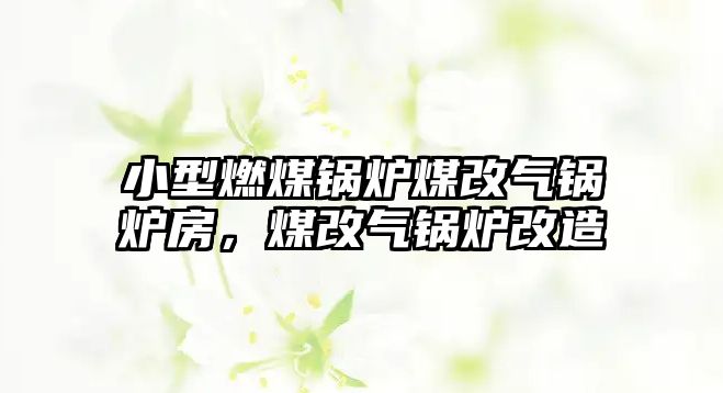 小型燃煤鍋爐煤改氣鍋爐房，煤改氣鍋爐改造