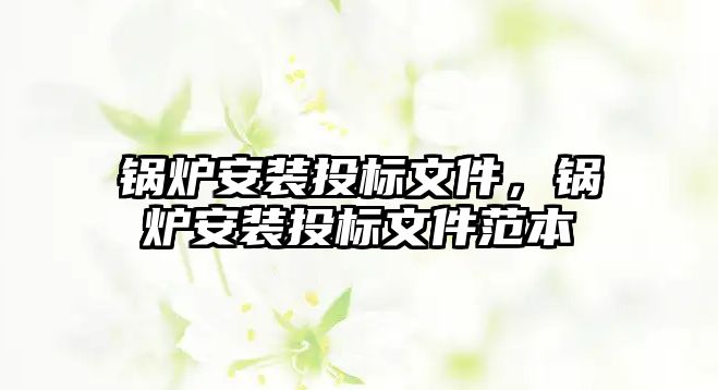 鍋爐安裝投標文件，鍋爐安裝投標文件范本