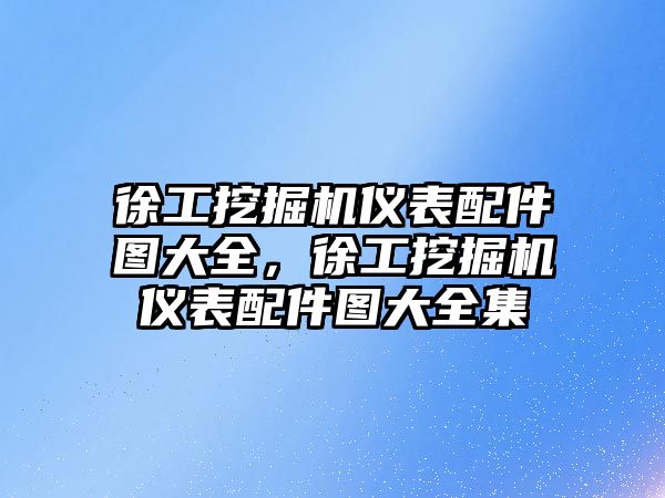 徐工挖掘機儀表配件圖大全，徐工挖掘機儀表配件圖大全集