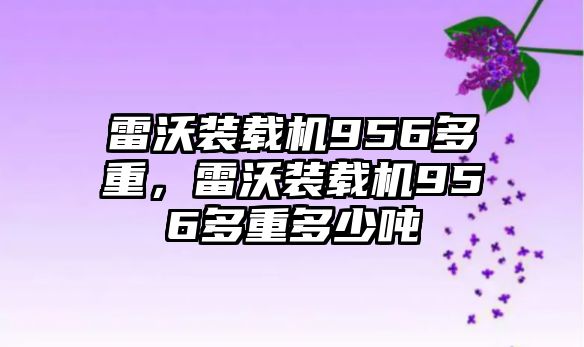 雷沃裝載機(jī)956多重，雷沃裝載機(jī)956多重多少噸