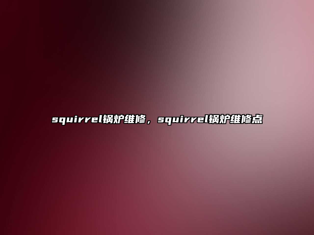 squirrel鍋爐維修，squirrel鍋爐維修點(diǎn)