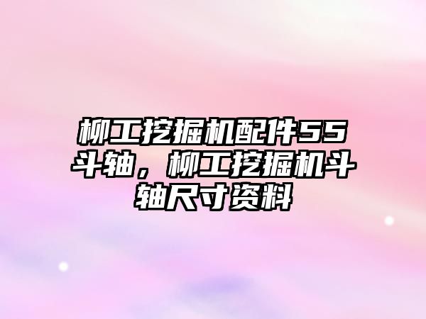 柳工挖掘機配件55斗軸，柳工挖掘機斗軸尺寸資料