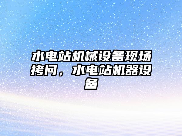 水電站機(jī)械設(shè)備現(xiàn)場(chǎng)拷問(wèn)，水電站機(jī)器設(shè)備