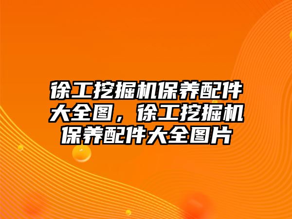 徐工挖掘機保養(yǎng)配件大全圖，徐工挖掘機保養(yǎng)配件大全圖片