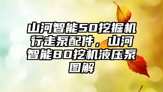 山河智能50挖掘機(jī)行走泵配件，山河智能80挖機(jī)液壓泵圖解