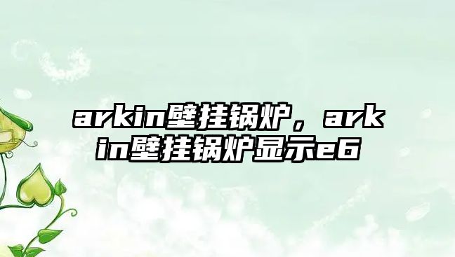 arkin壁掛鍋爐，arkin壁掛鍋爐顯示e6