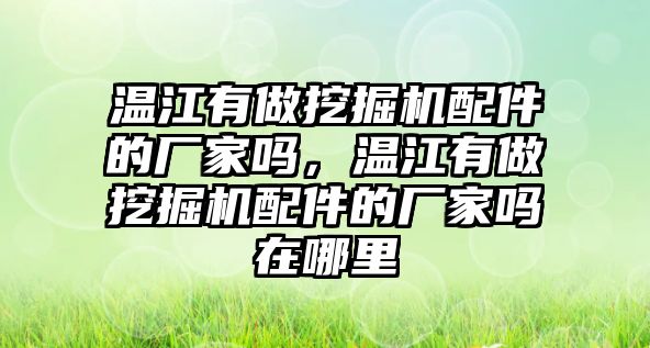 溫江有做挖掘機(jī)配件的廠家嗎，溫江有做挖掘機(jī)配件的廠家嗎在哪里