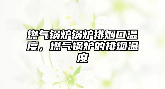 燃?xì)忮仩t鍋爐排煙口溫度，燃?xì)忮仩t的排煙溫度