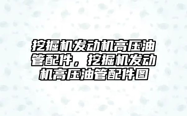 挖掘機發(fā)動機高壓油管配件，挖掘機發(fā)動機高壓油管配件圖