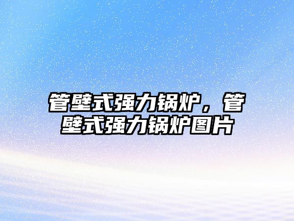 管壁式強(qiáng)力鍋爐，管壁式強(qiáng)力鍋爐圖片