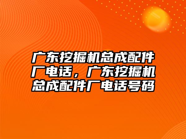 廣東挖掘機(jī)總成配件廠電話，廣東挖掘機(jī)總成配件廠電話號(hào)碼