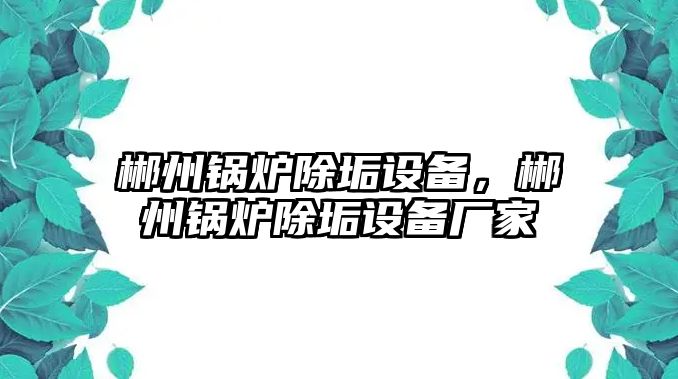 郴州鍋爐除垢設(shè)備，郴州鍋爐除垢設(shè)備廠家