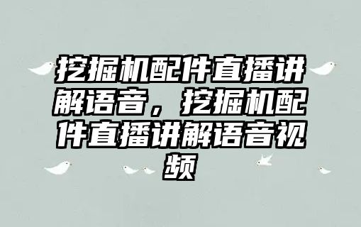 挖掘機(jī)配件直播講解語音，挖掘機(jī)配件直播講解語音視頻