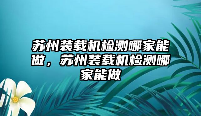 蘇州裝載機(jī)檢測哪家能做，蘇州裝載機(jī)檢測哪家能做