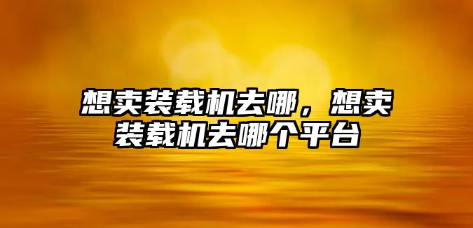 想賣裝載機去哪，想賣裝載機去哪個平臺