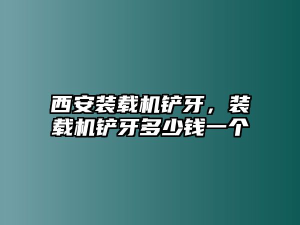 西安裝載機(jī)鏟牙，裝載機(jī)鏟牙多少錢一個