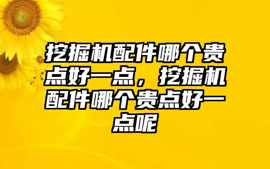 挖掘機(jī)配件哪個(gè)貴點(diǎn)好一點(diǎn)，挖掘機(jī)配件哪個(gè)貴點(diǎn)好一點(diǎn)呢