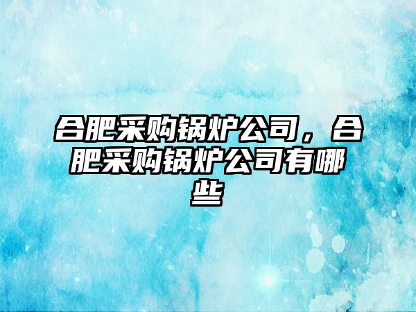 合肥采購鍋爐公司，合肥采購鍋爐公司有哪些