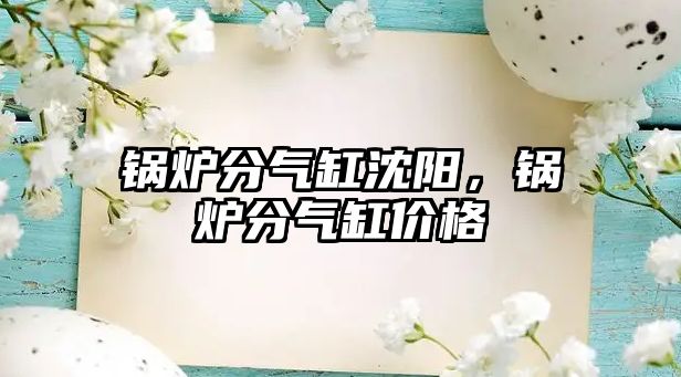 鍋爐分氣缸沈陽，鍋爐分氣缸價(jià)格